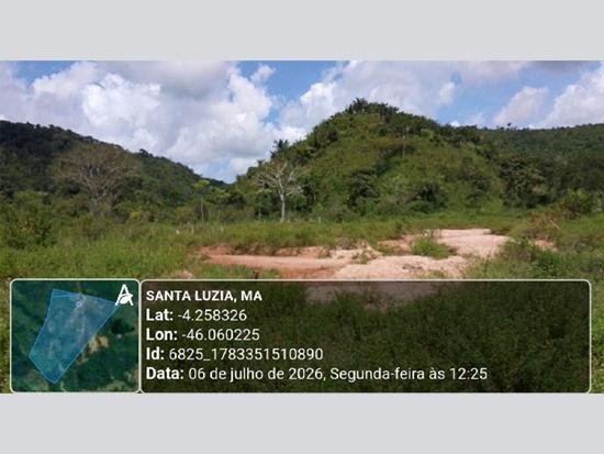 Imagem leilão