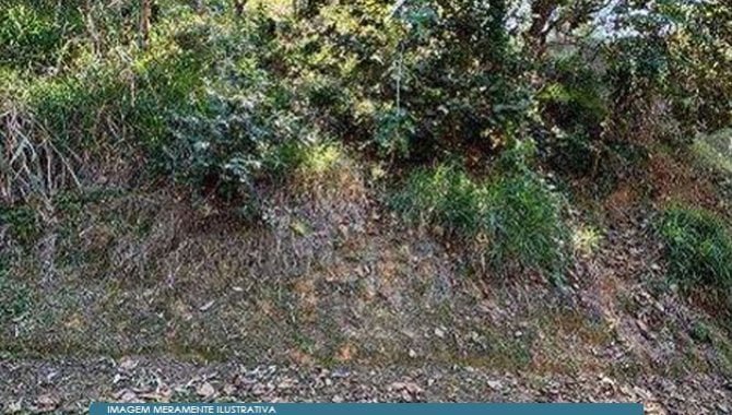 Imagem leilão