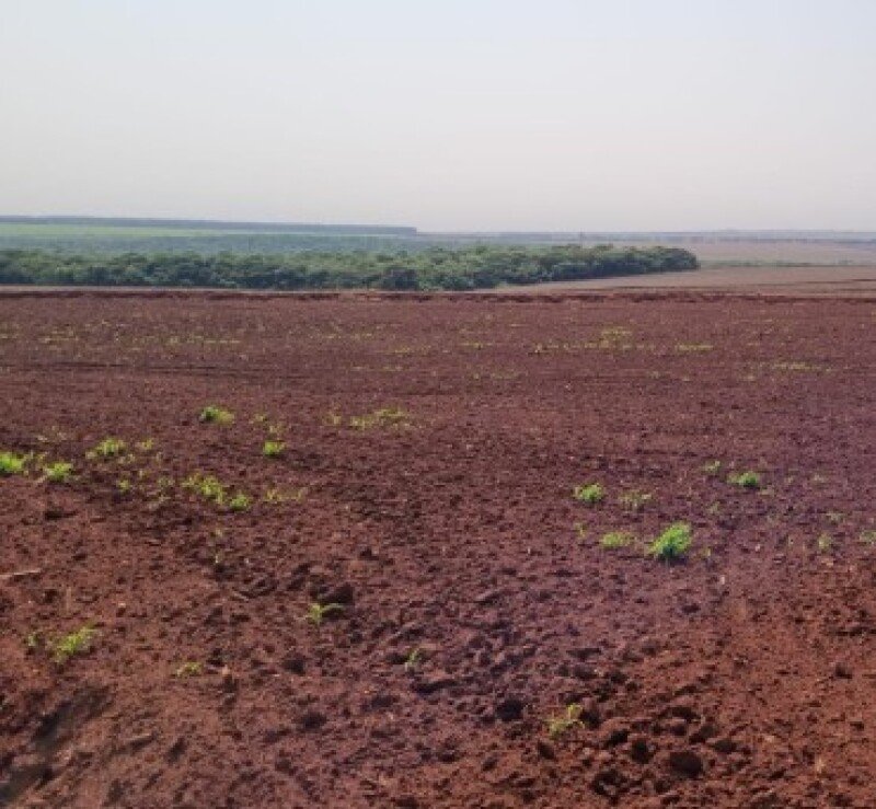 FRAÇÃO IDEAL correspondente a 100HA FAZENDA SÃO MATHEUS IV em Ponta Porã/MS - foto 6