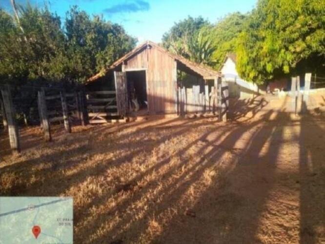 Imagem leilão