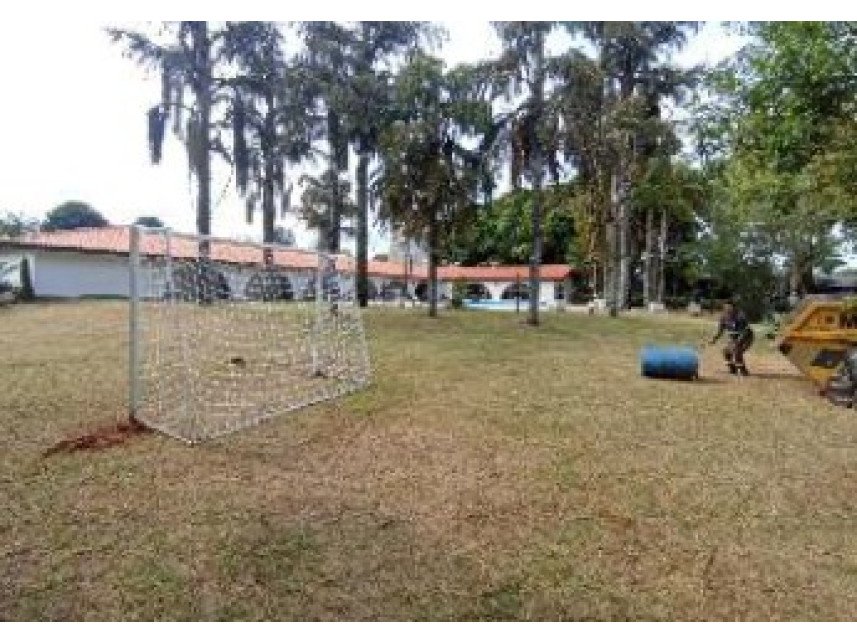 Imagem leilão
