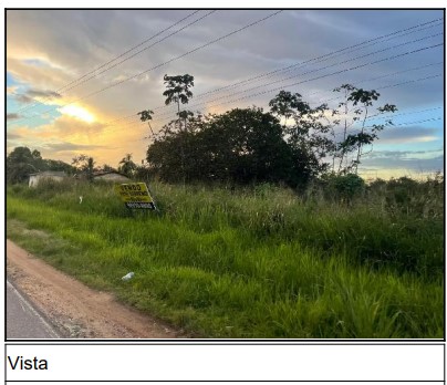 Imagem leilão