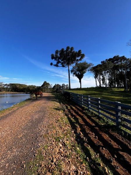 Área com 248.200,00 m² no Marmeleiro em Catanduvas/SC - foto 4