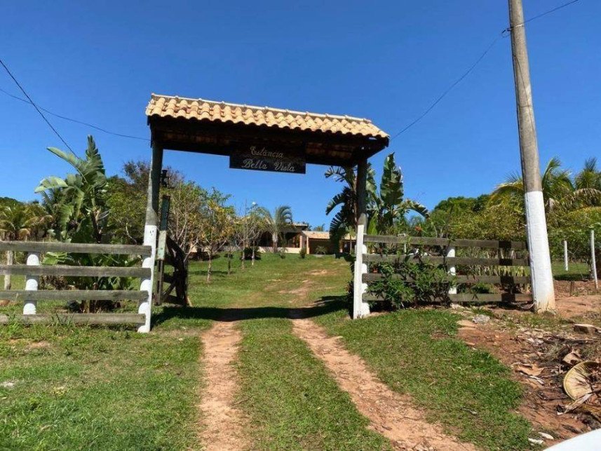 Imagem leilão