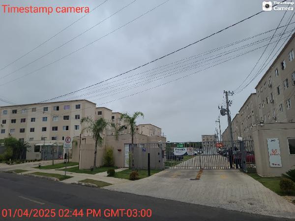 Imagem leilão