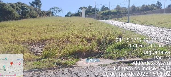 Imagem leilão