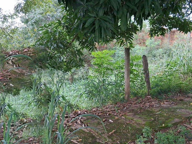 Terreno MINAÇU | GOIÁS em Minaçu/GO - foto 11