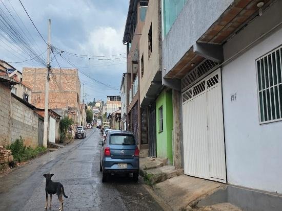 Imagem leilão