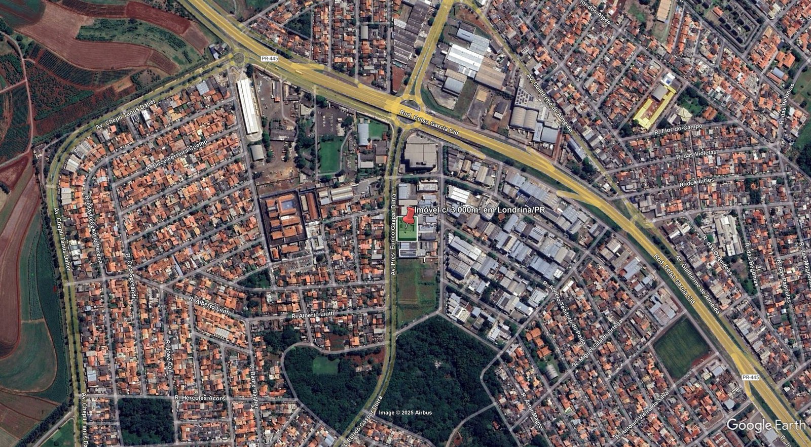Imagem leilão