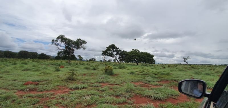 IMÓVEL RURAL COM ÁREA DE 1.899,2700HAS, "FAZENDA VALENT.. em Rosário Oeste/MT - foto 32