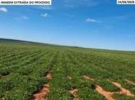Imagem leilão