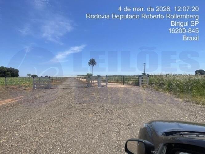 Imagem leilão
