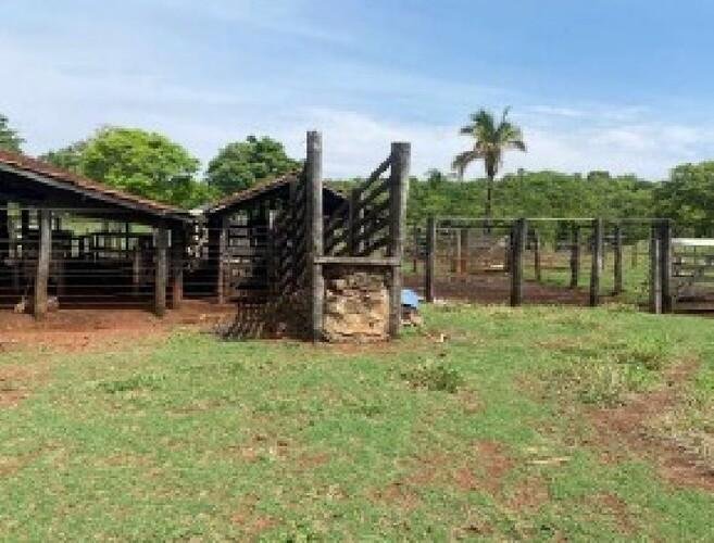 ID 21532 - Lote:
    1 - 202605000160 - Área rural - Propriedade Rural em Santa Fé de Goi em Santa Fé de Goiás/GO - foto 8