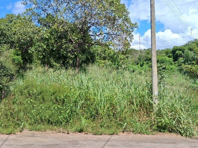 Terreno MINAÇU | GOIÁS em Minaçu/GO - foto 7