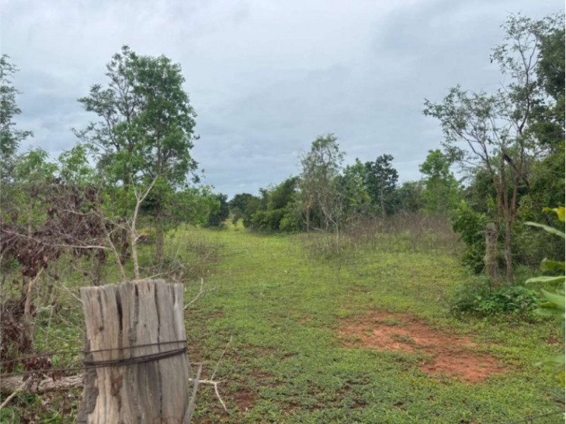 Fazenda, Rural, Rural em Bom Jardim de Goiás/GO - foto 4