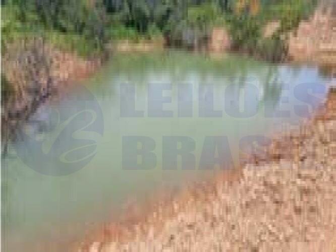 Imagem leilão