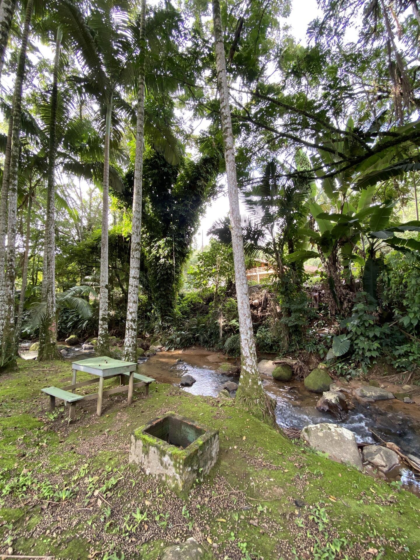 EMPREENDIMENTO DE LAZER E ENTRETENIMENTO PARQUE AQUÁTICO CASCATA DANIELA INSTALAÇÕES E BEN em Itajaí/SC - foto 48