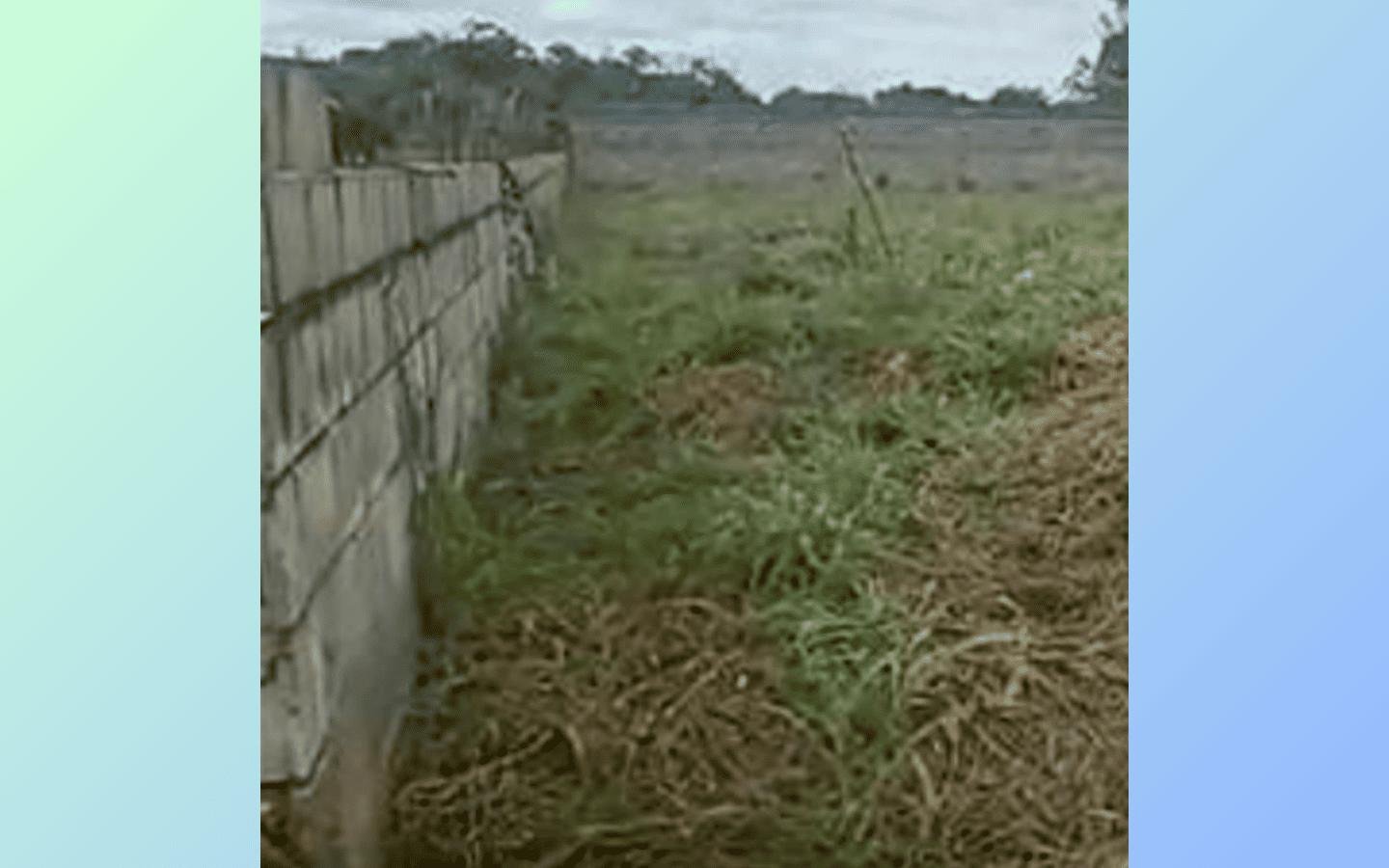 3 Terrenos Urb 2500m² cada Brasília/DF em Brasília/DF - foto 6