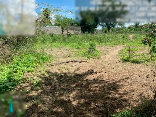 Imagem leilão