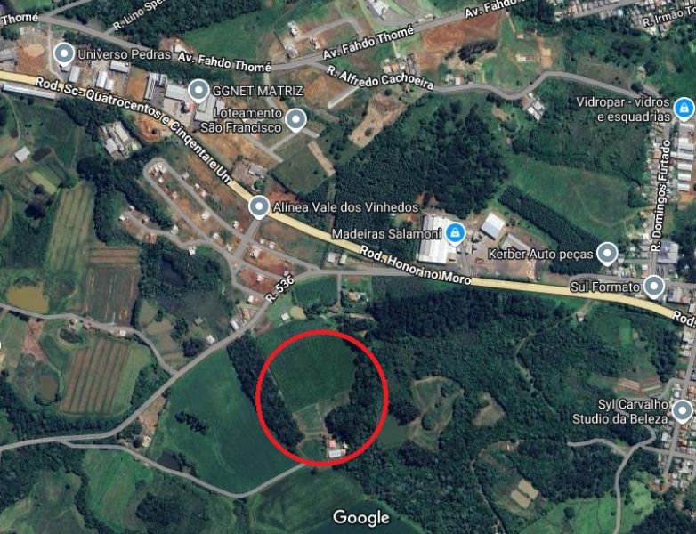 Imagem leilão