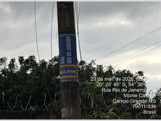 Imagem leilão