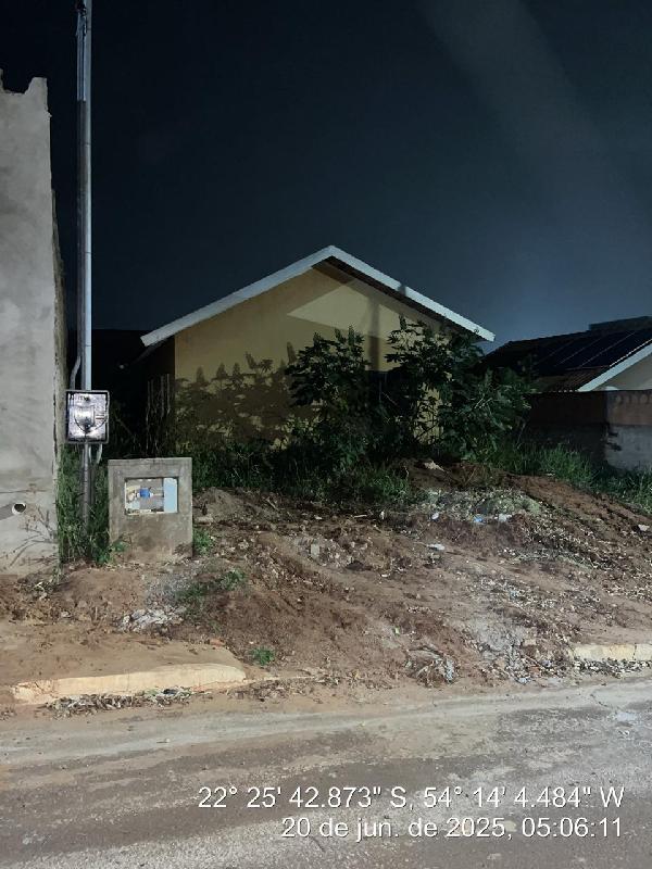 Imagem leilão