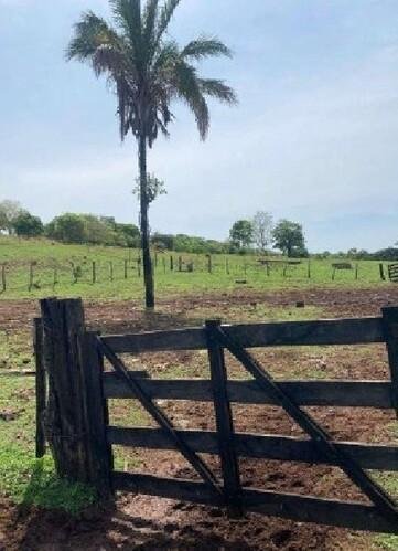 ID 21533 - Lote:
    1 - 202605000160 - Área rural - Propriedade Rural em Santa Fé de Goi em Santa Fé de Goiás/GO - foto 4