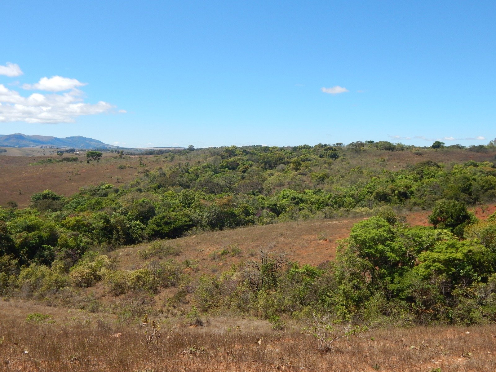 FAZENDA CAMPINAS APROXIMADAMENTE 90HA EM CRUZÍLIA /MG em Cruzília/MG - foto 7