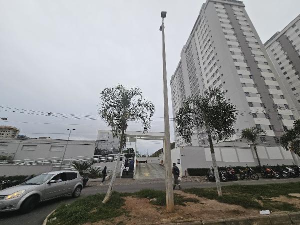 Imagem leilão