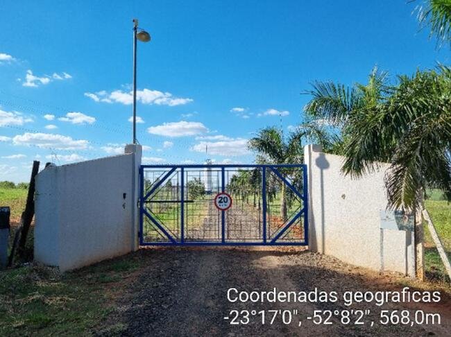 Imagem leilão