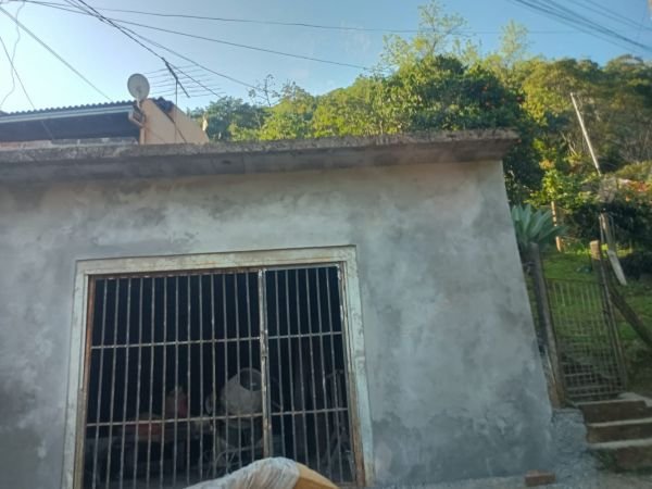 Imagem leilão