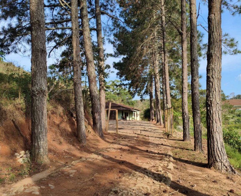 FAZENDA HAVAÍ COM ÁREA DE 33,7590 HA, COM GALPÃO E ESCR.. em Cristiano Otoni/MG - foto 17
