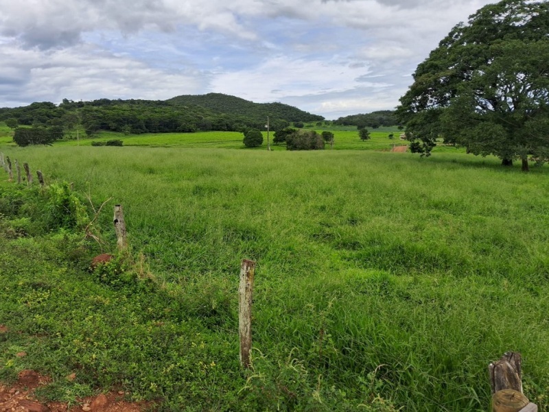 Terreno rural com ou sem benfeitorias em Jandaia/GO - foto 7