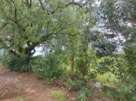 Terreno - 2.263,43m² - R. Voluntários da Pátria em Feliz/RS - foto 4
