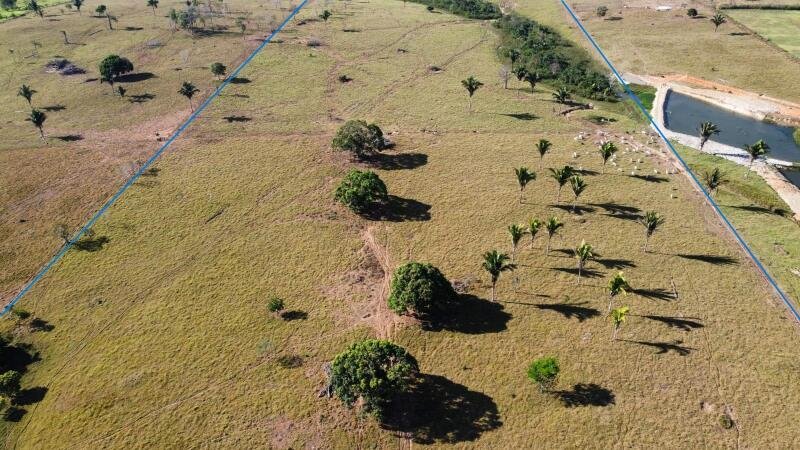 IMÓVEL RURAL COM 53,3362ha EM OURO PRETO DO OESTE/RO em Ouro Preto do Oeste/RO - foto 5