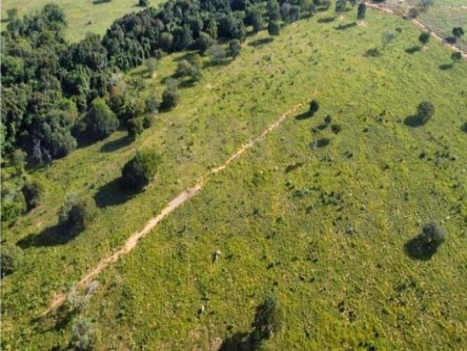 ID Bem 147625 - Lote:
    1 - 3.466 - ARAGUACU/TO - GLEBA - COM ÁREA DE 52.66.00ha em Araguaçu/TO - foto 7