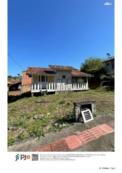Imagem leilão