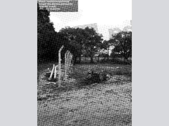 Imagem leilão