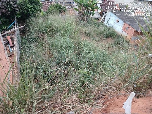 Terreno, 0.00 de área total, 0.00 de área privativa, 186.20 de área do terreno. em Muriaé/MG