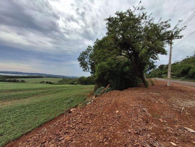 Imagem leilão