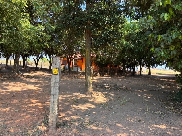 
                        1 (uma) Chacará, 5,0000 ha, 2 (dois) lote de terreno com  450,00 em Querência/MT - foto 12