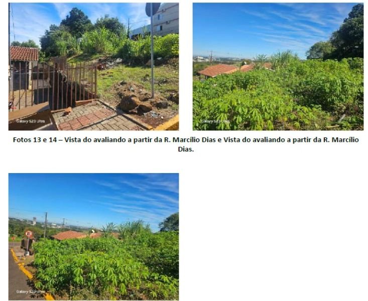 Imagem leilão