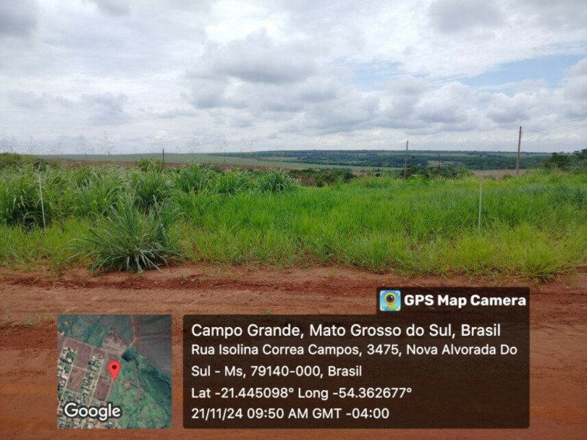 Imagem leilão