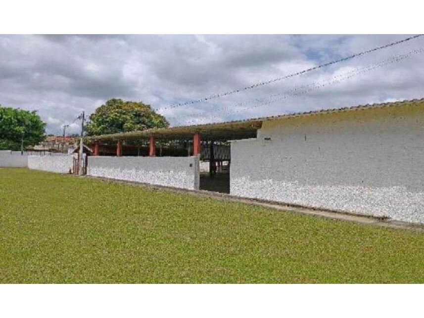 Imagem leilão