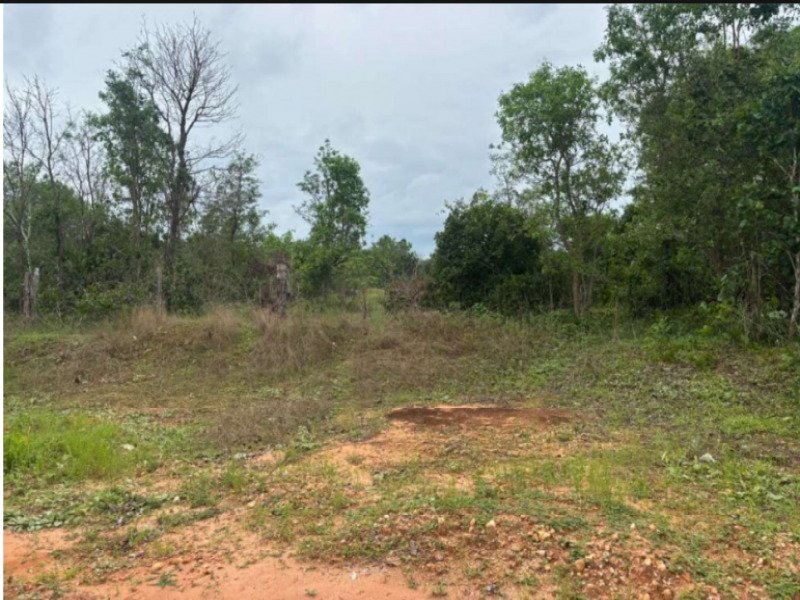 Fazenda, Rural, Rural em Bom Jardim de Goiás/GO - foto 2