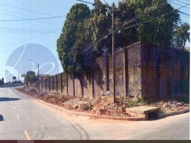 Imagem leilão