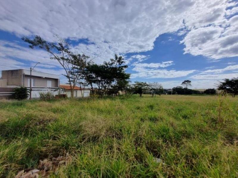 Imóvel em Araraquara/SP - foto 2