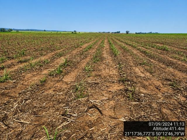 
                        5% da Área de Terras, 28,00 alquires, Glicério/SP em Glicério/SP - foto 4