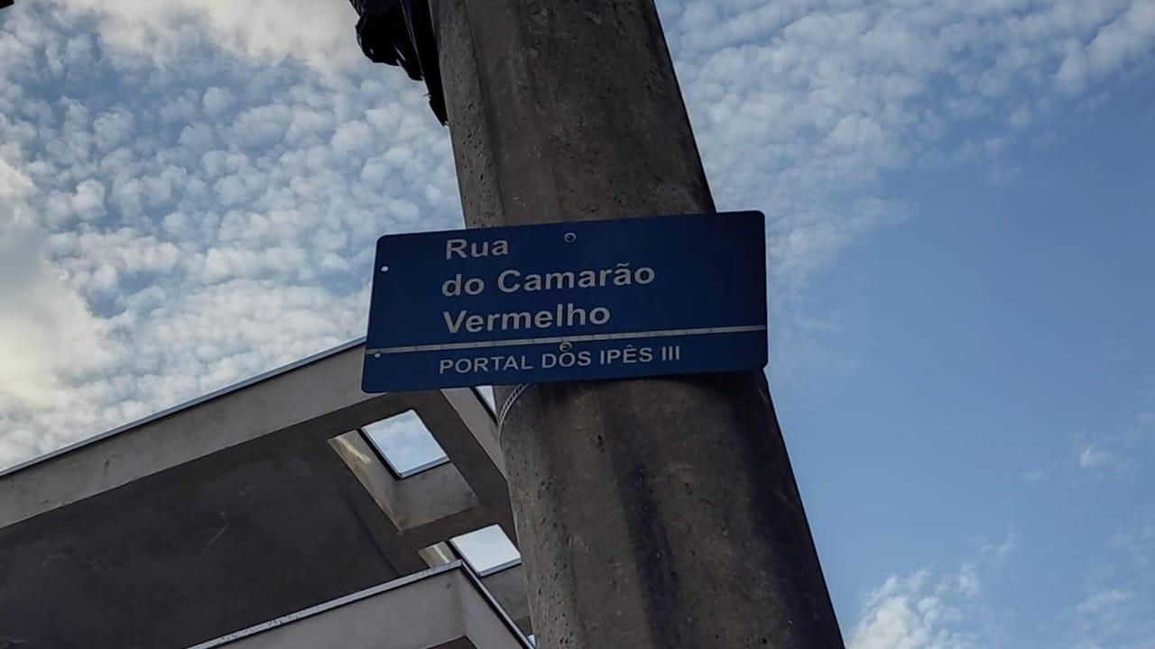 Imagem leilão