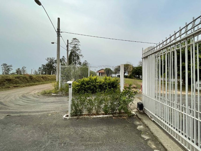 Imagem leilão